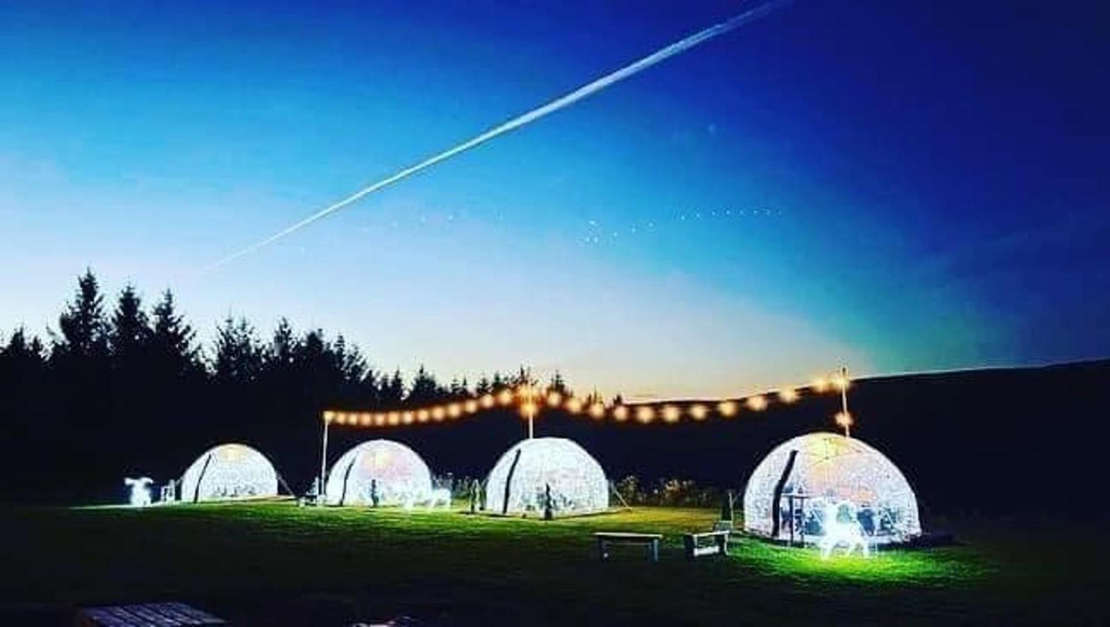 Afan Forest Retreat Cozy Getaway, Pet Friendly Cymmer Bagian luar foto